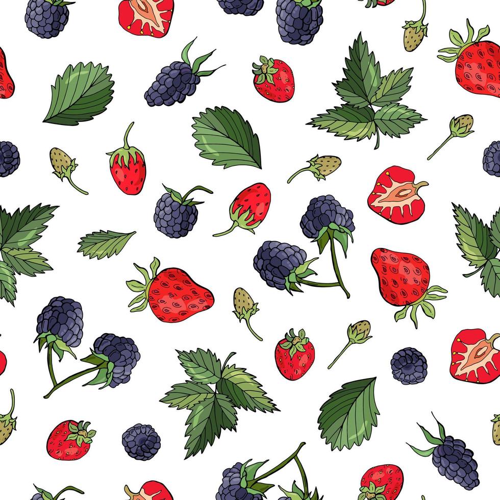 Fruity seamless pattern with strawberries and blackberries. Design for fabric, textile, wallpaper, packaging, cafe. vector