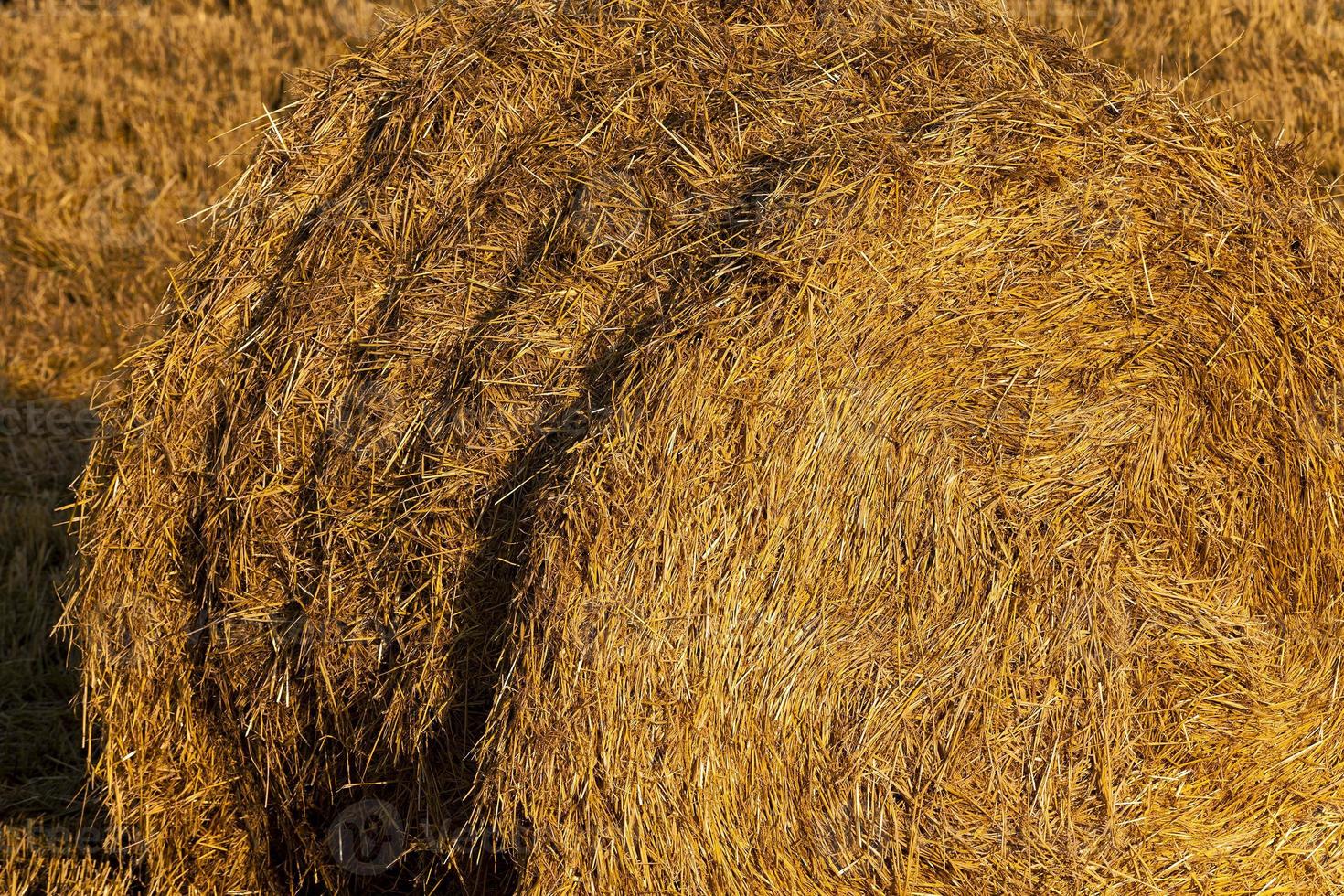 Stack of straw photo