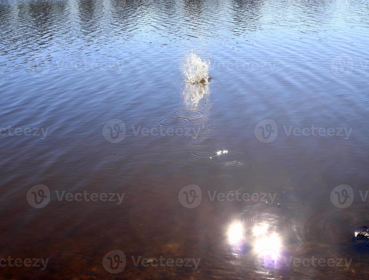 Beautiful water at a lake with splashing water and ripples on the surface with clouds and blue sky reflections photo