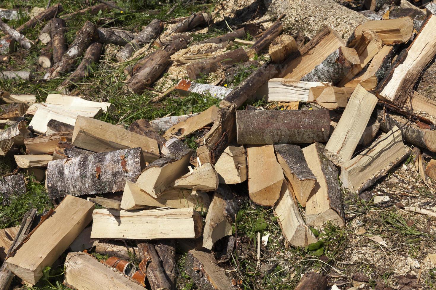 wood cut into logs for use in a stove or fireplace photo