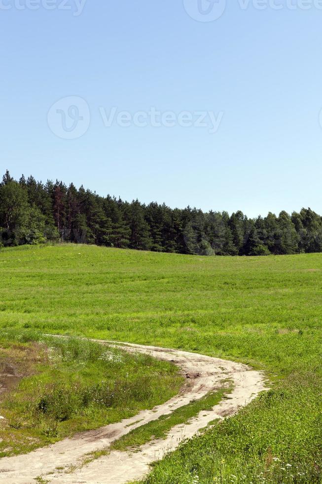 rural road. field photo