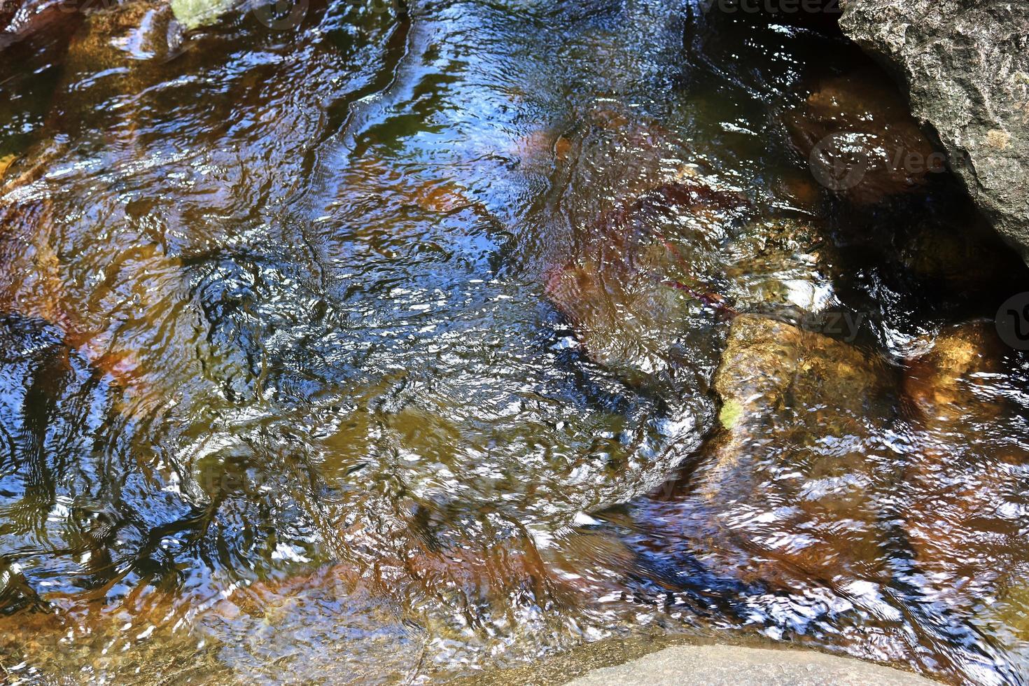 Detailed close up view on water surfaces with ripples and waves and the sunlight reflecting at the surface photo