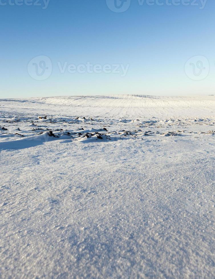 Snow after snowfall, field photo