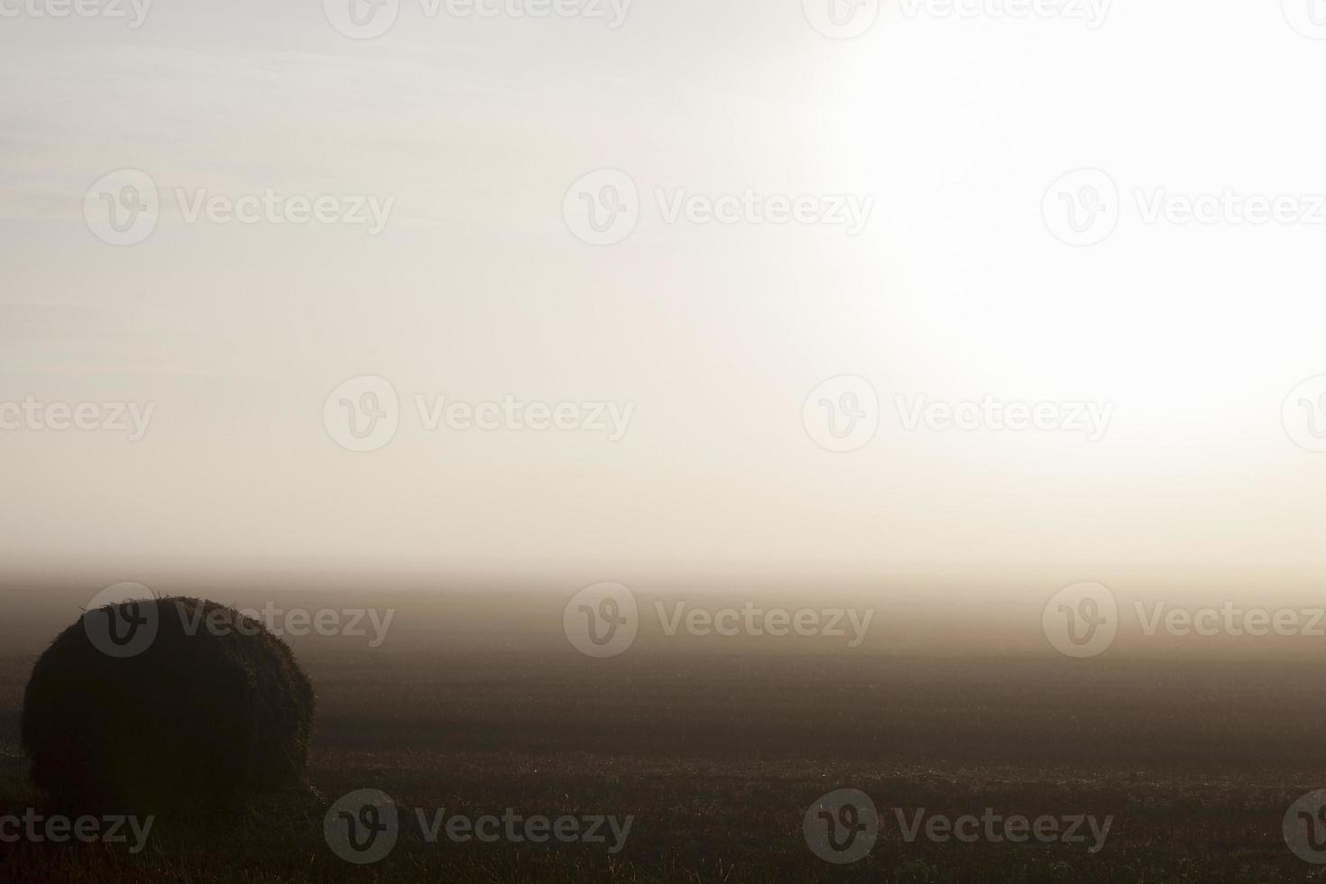 autumn morning, field photo