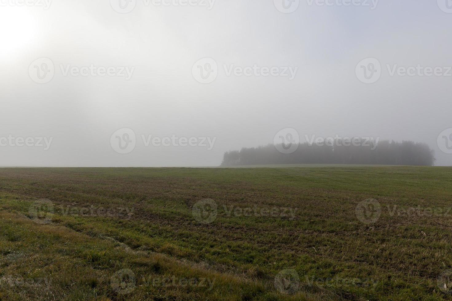 paisaje de otoño, campo foto