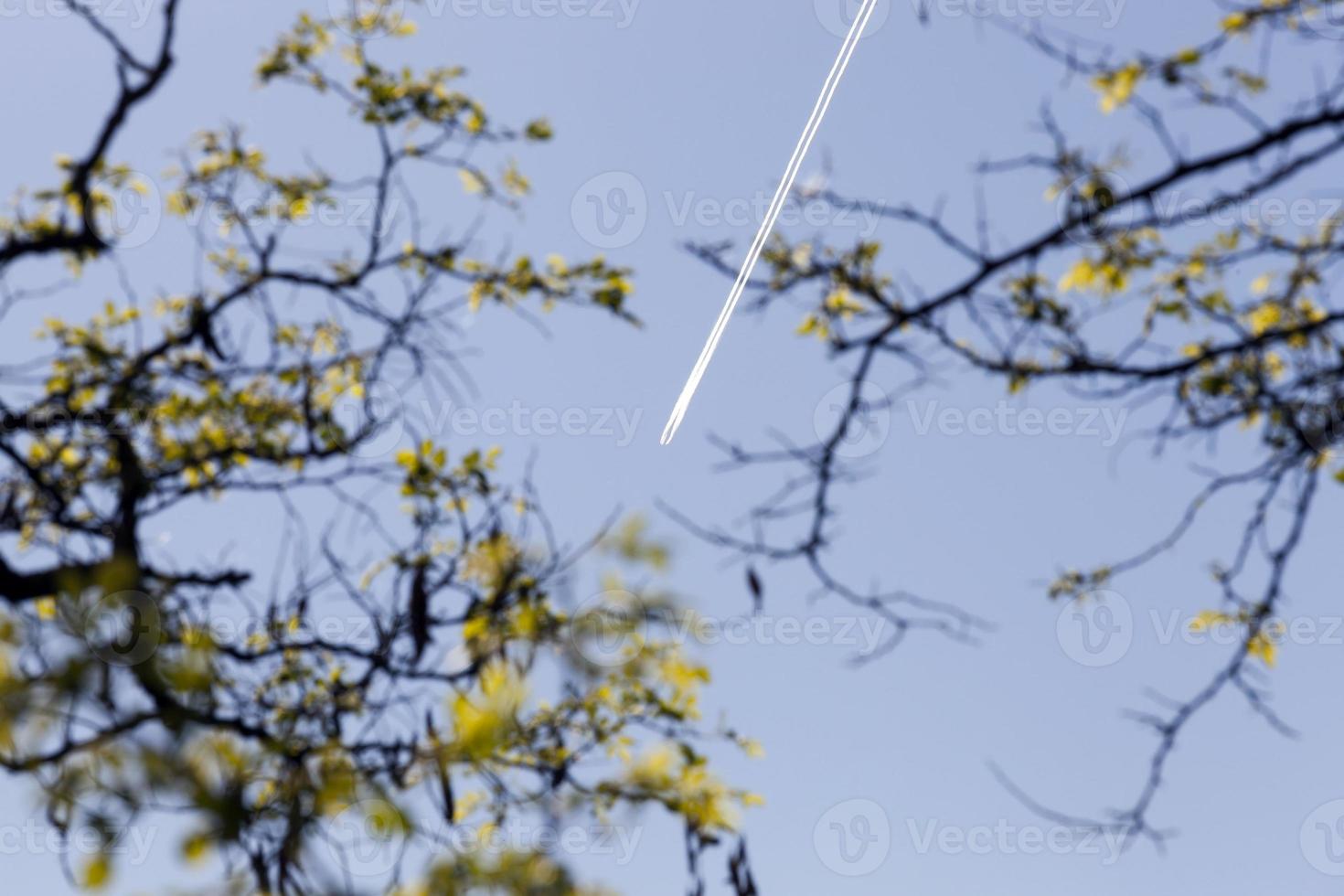 condensation track in the sky photo