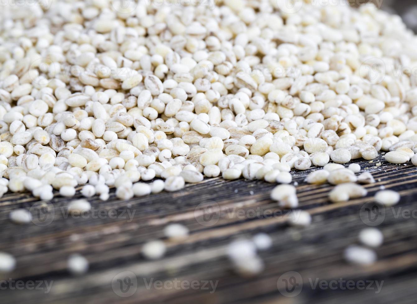 raw grain of pearl barley photo