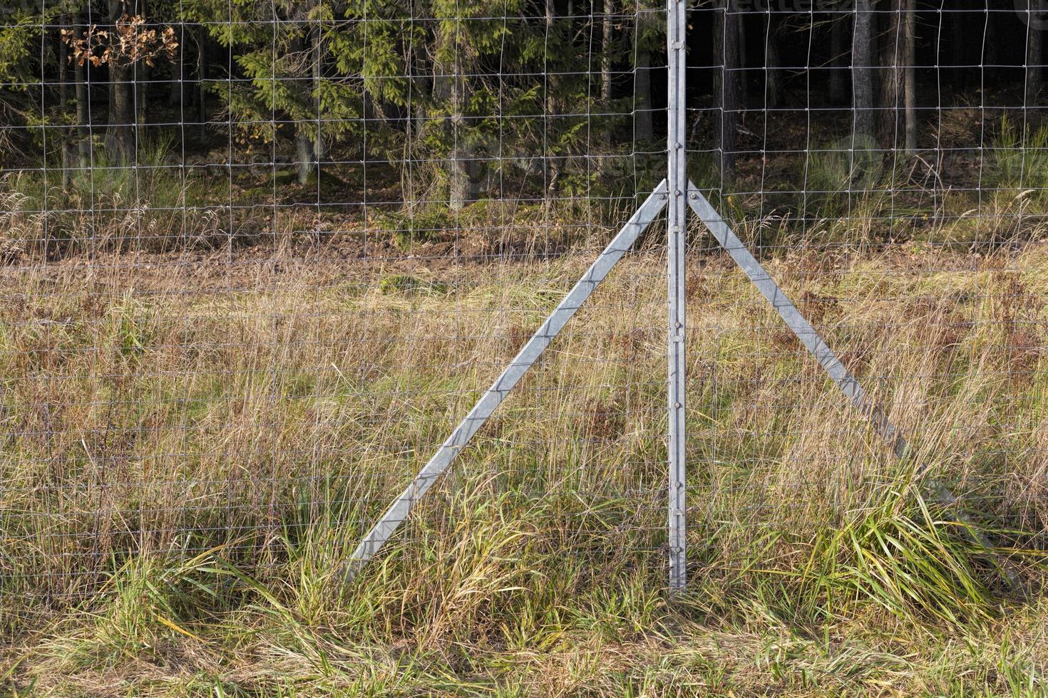metal fences near the forest, which protect animals from the carriageway photo