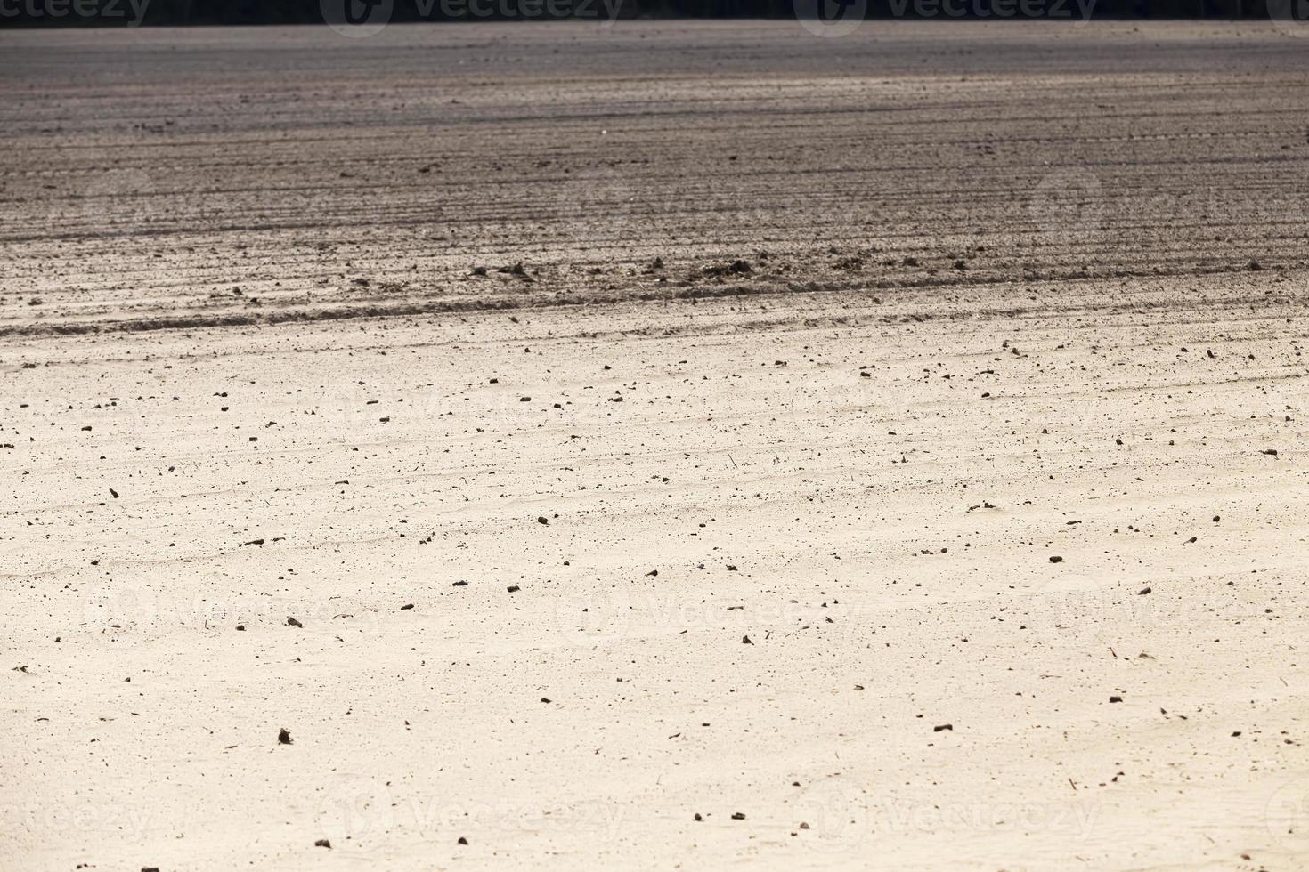 ploughed soil on which cereals are grown photo