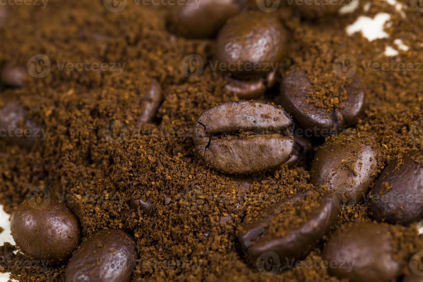 roasted coffee beans photo