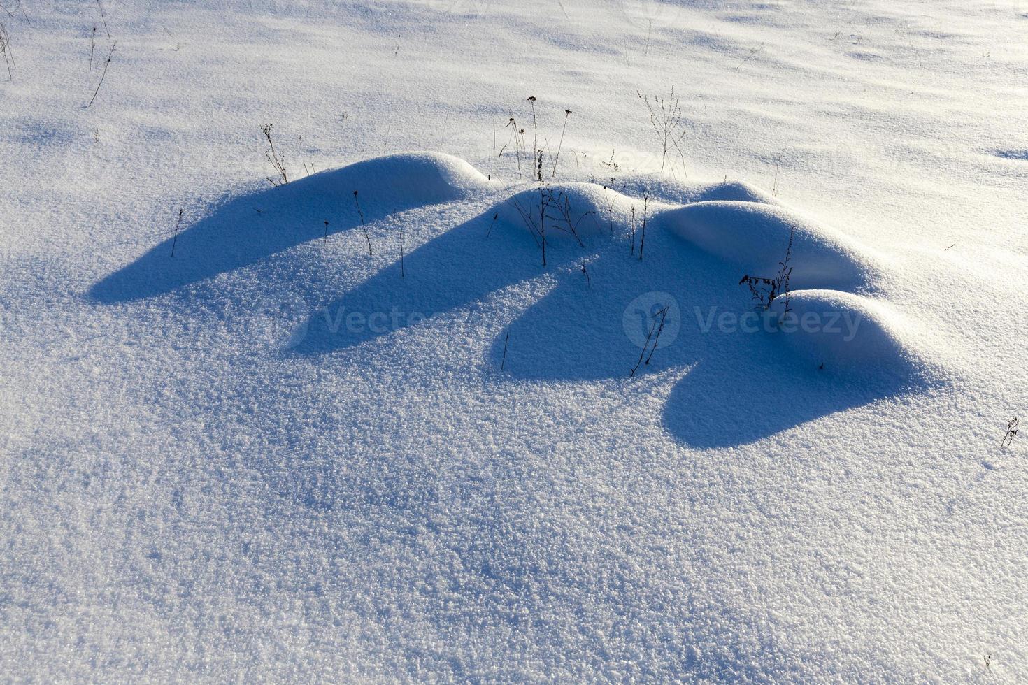 snowdrifts in the winter season photo