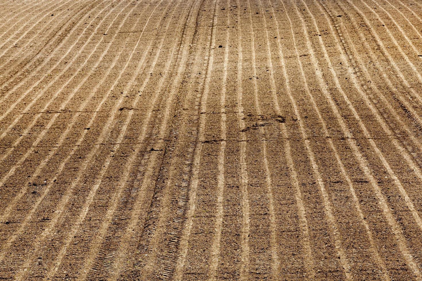 the plowed soil on which to grow cereal crops photo