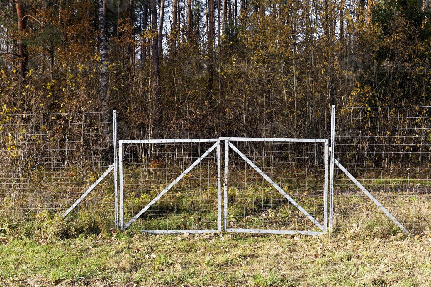 metal fences near the forest, which protect animals from the carriageway photo