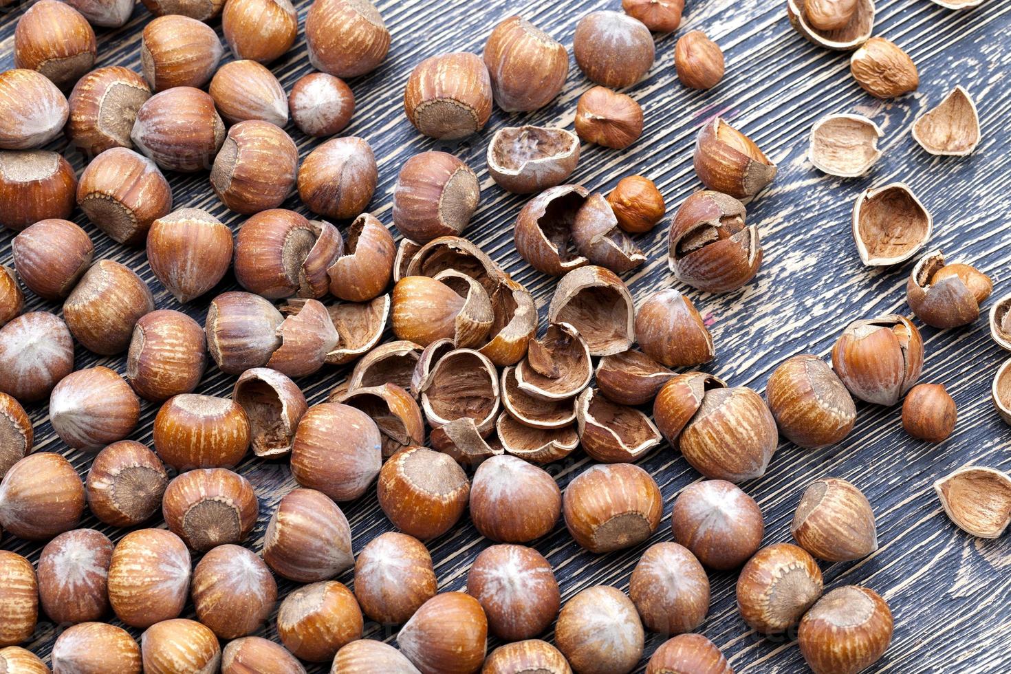 split hazelnuts on the table photo