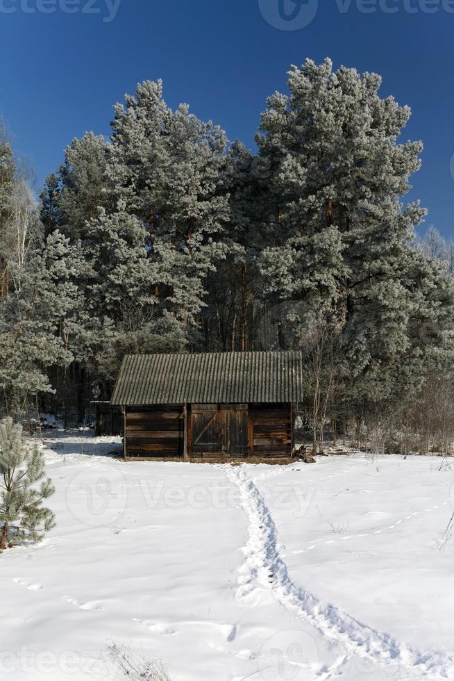 temporada de invierno, la nieve foto