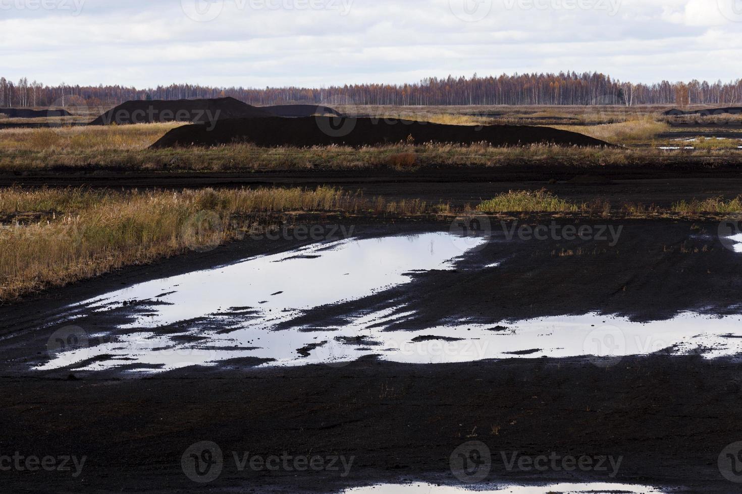 territory for peat extraction in the autumn season photo