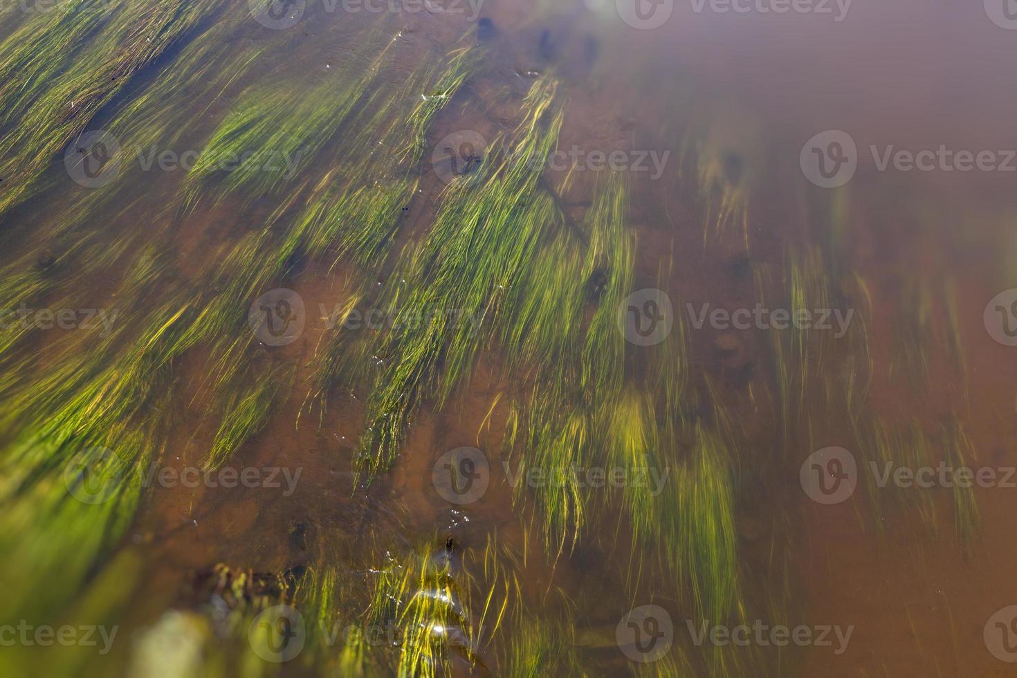 agua en el río en otoño foto