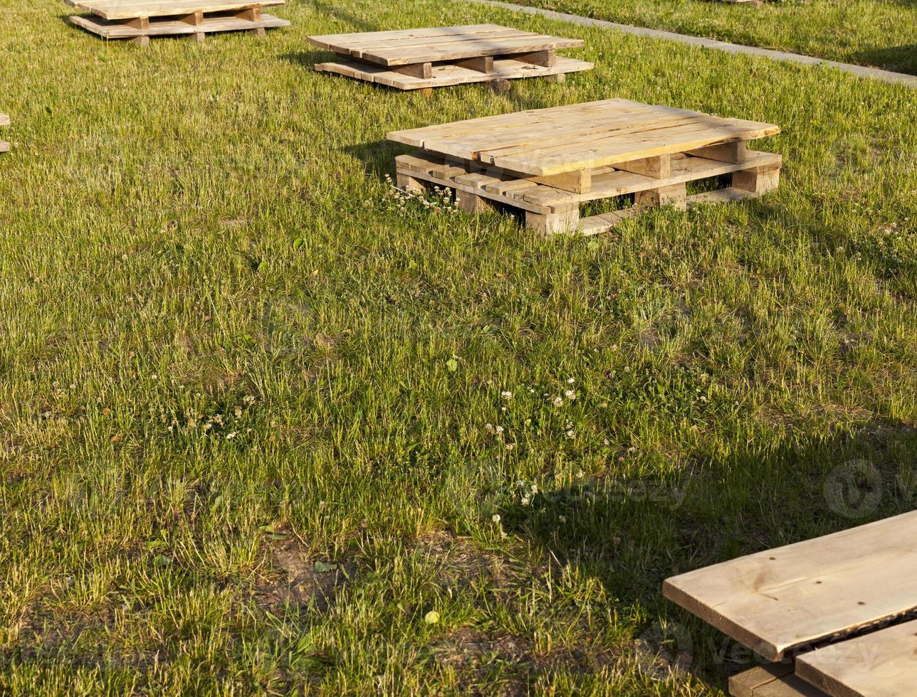 palets de madera sobre la hierba, de cerca foto