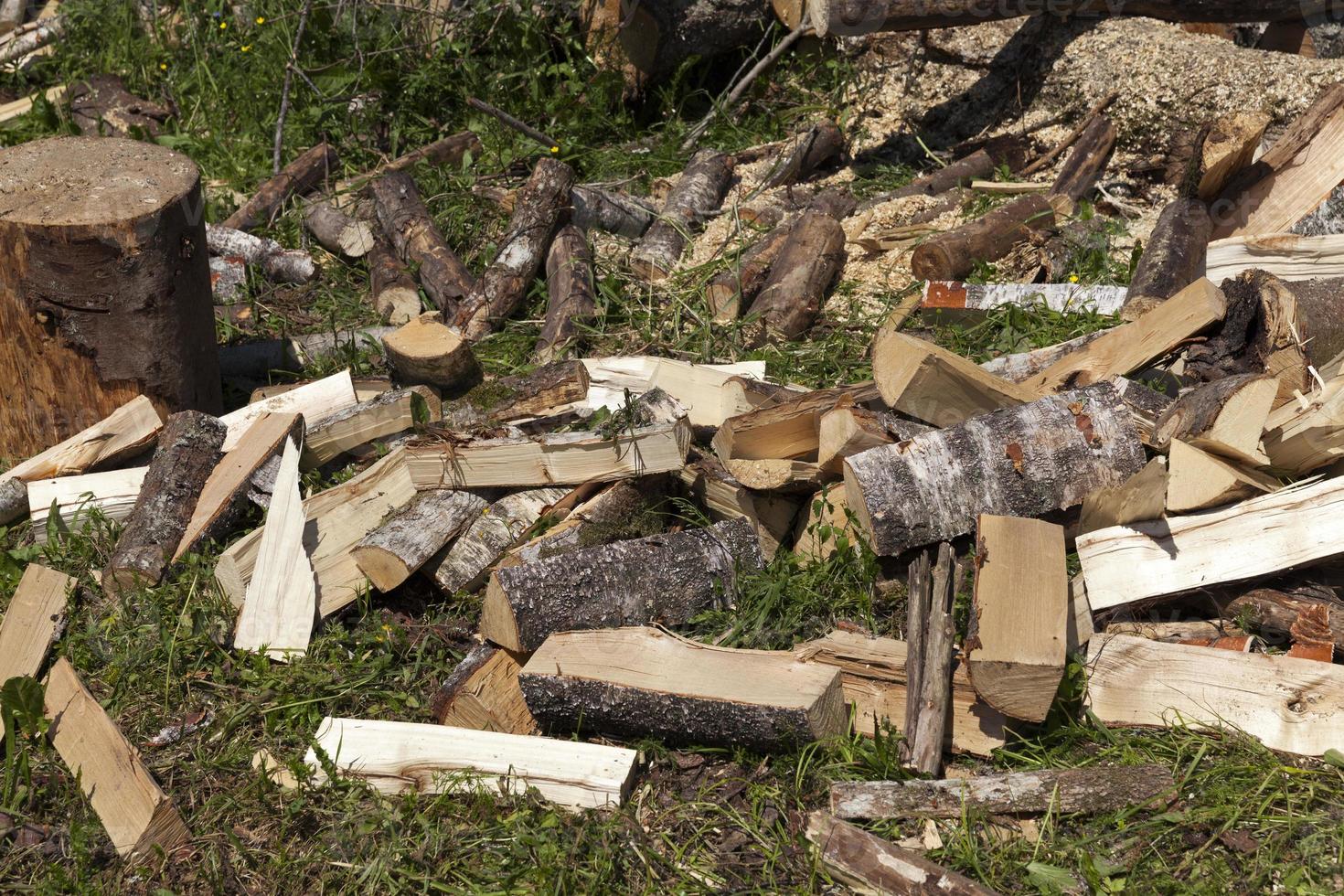 wood cut into logs for use in a stove or fireplace photo