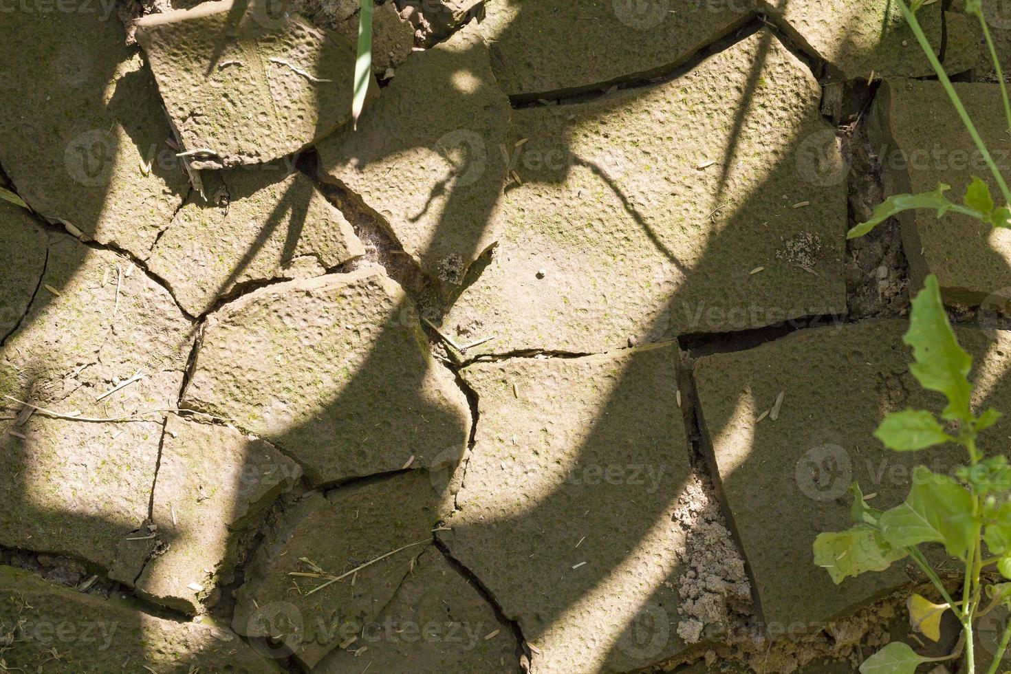 la sequía agrietó el suelo foto