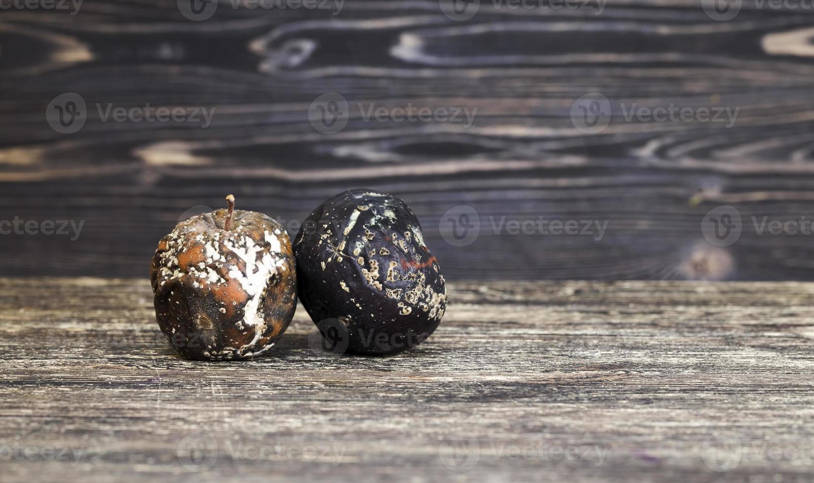 a rotten apple covered in mold photo