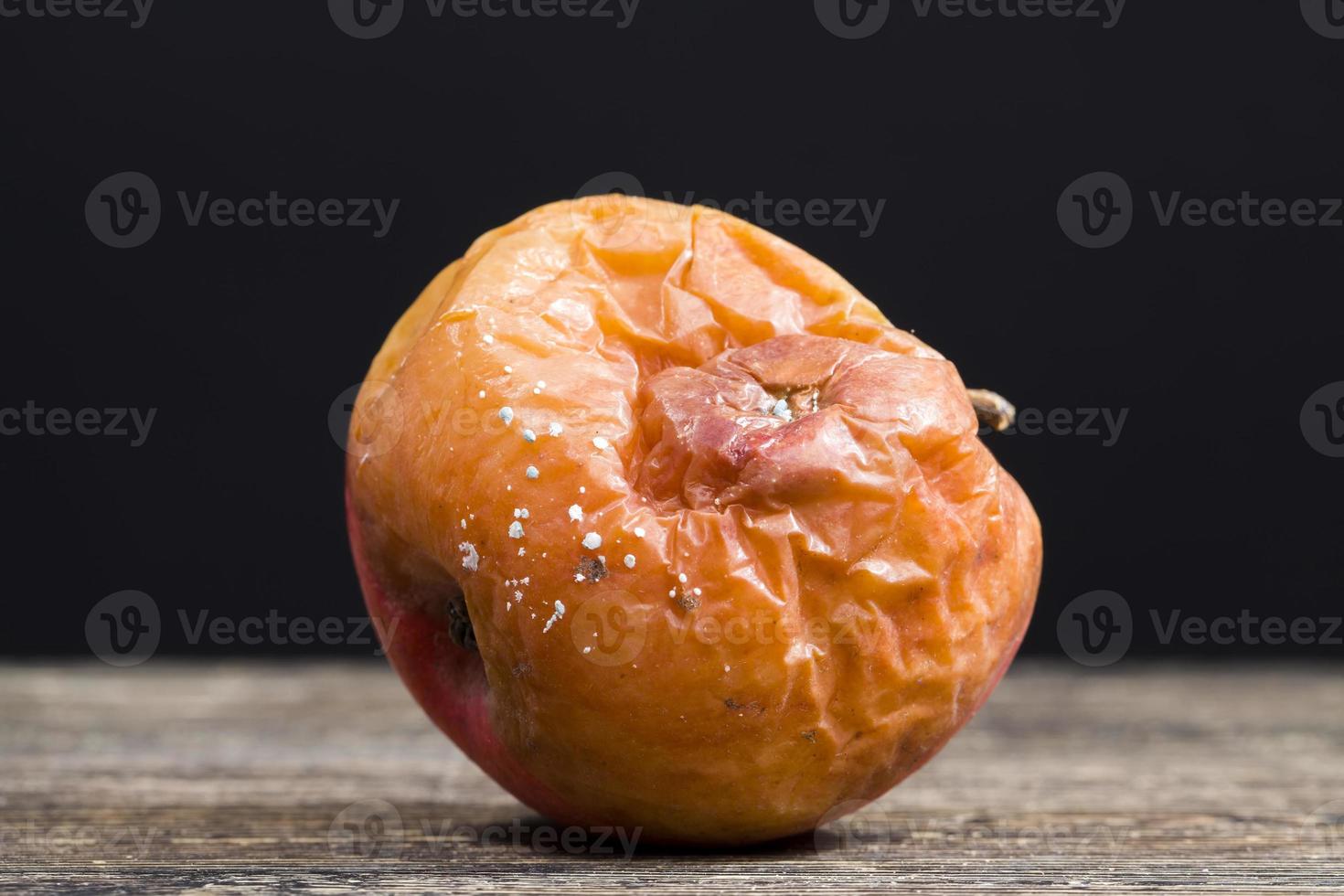 a rotten apple covered in mold photo