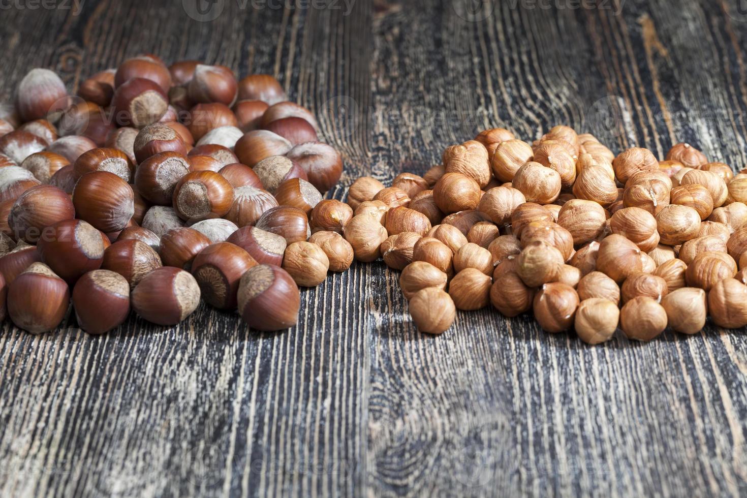 hazelnuts that are used for food 9408375 Stock Photo at Vecteezy