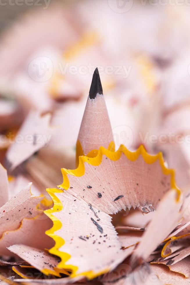 simple pencils made of wood and pencil lead photo