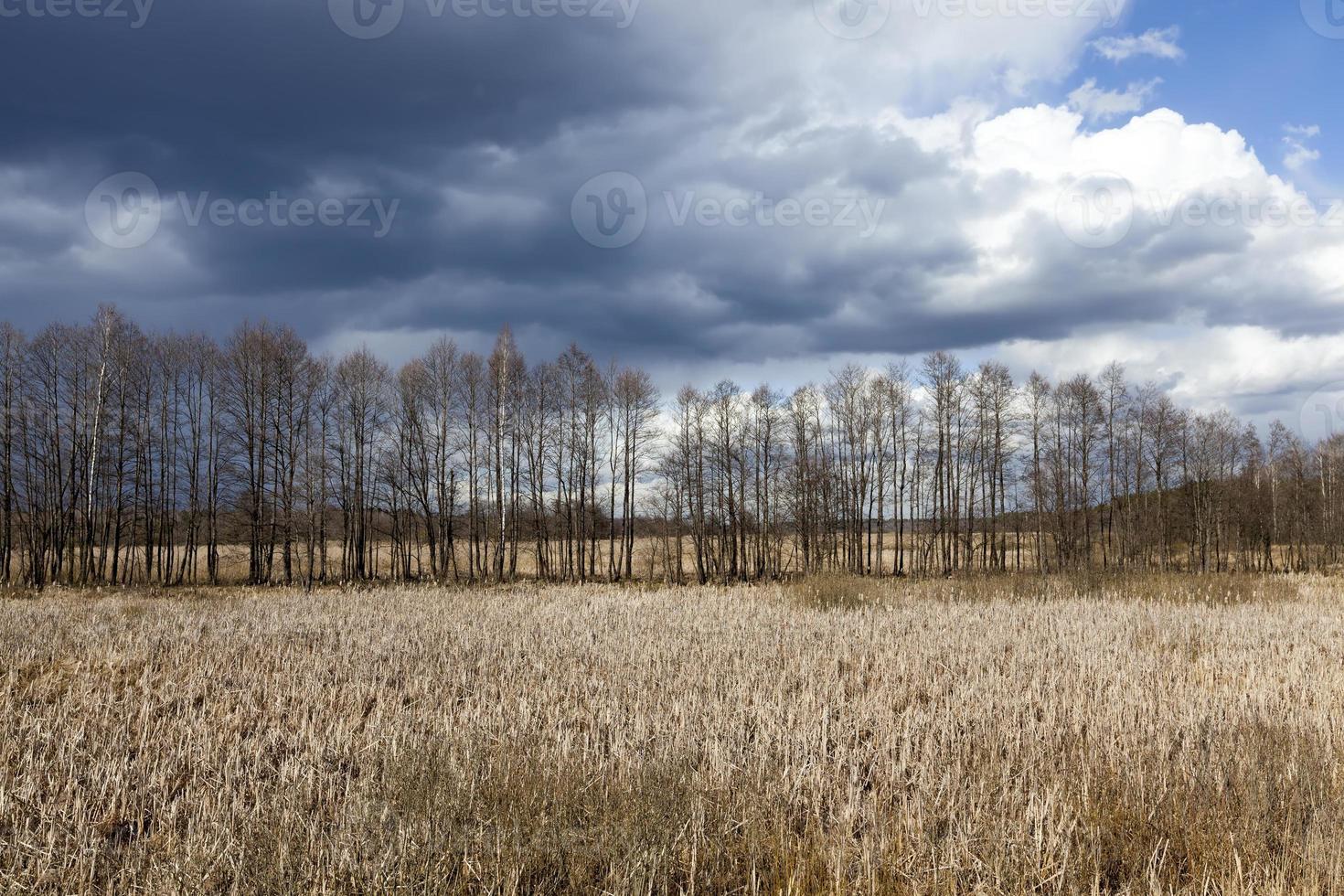 spring nature and weather in April photo