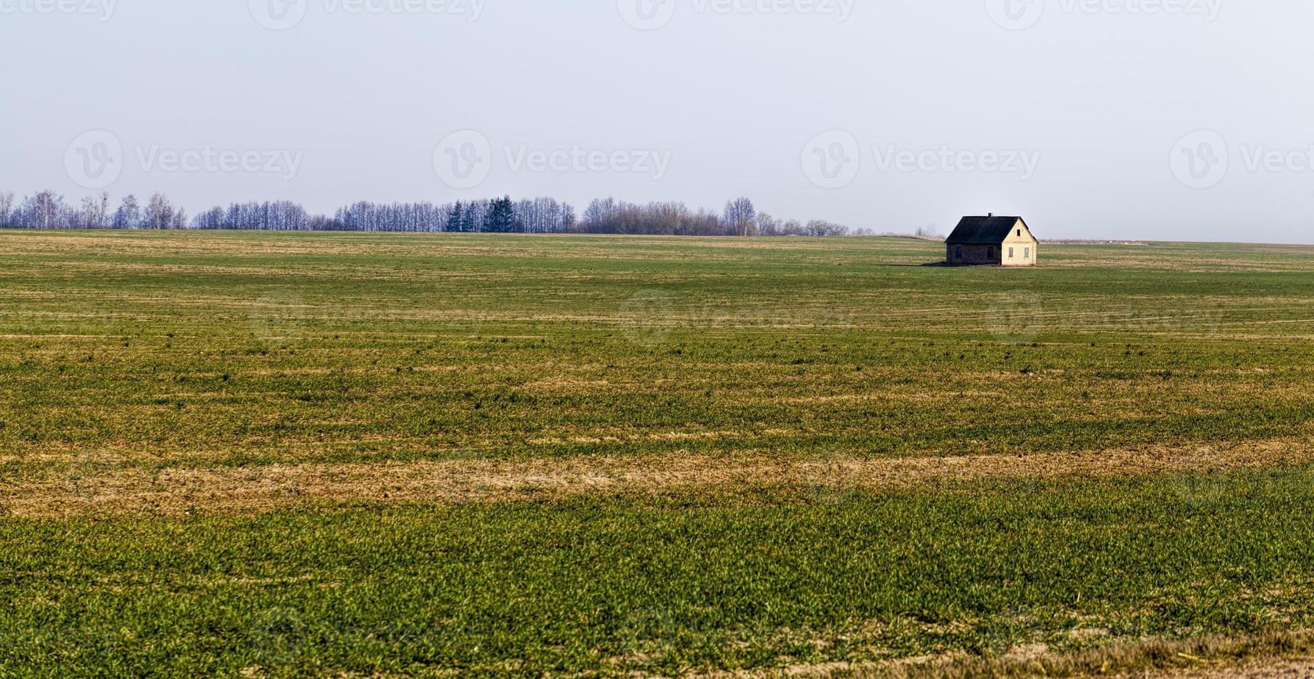 one house built in a field photo