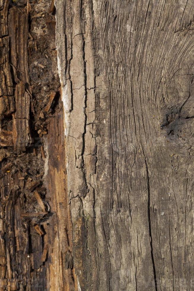 superficie de madera vieja foto