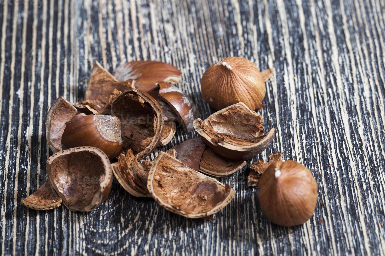 nut shells after getting their edible part photo