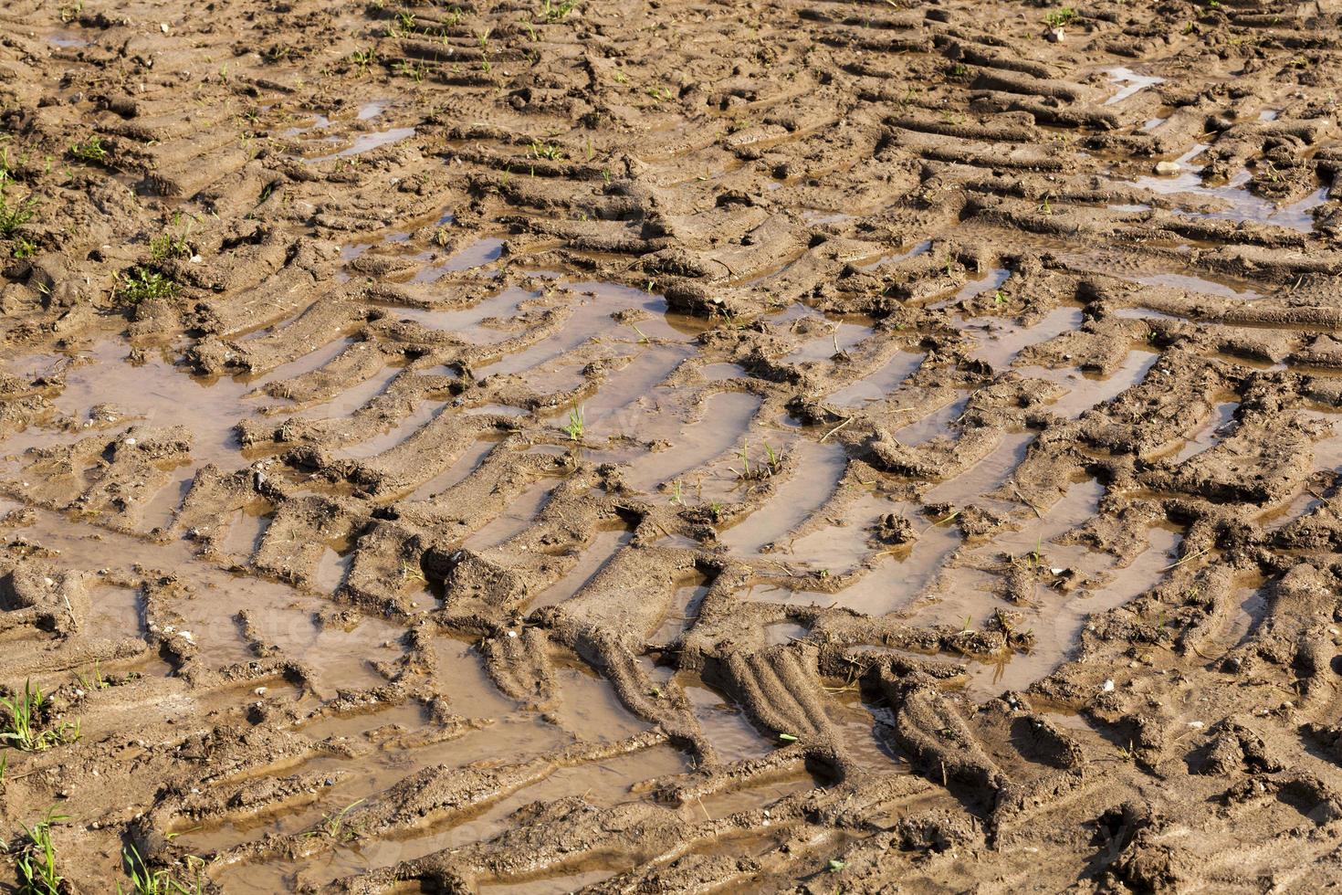 part of a sandy road photo