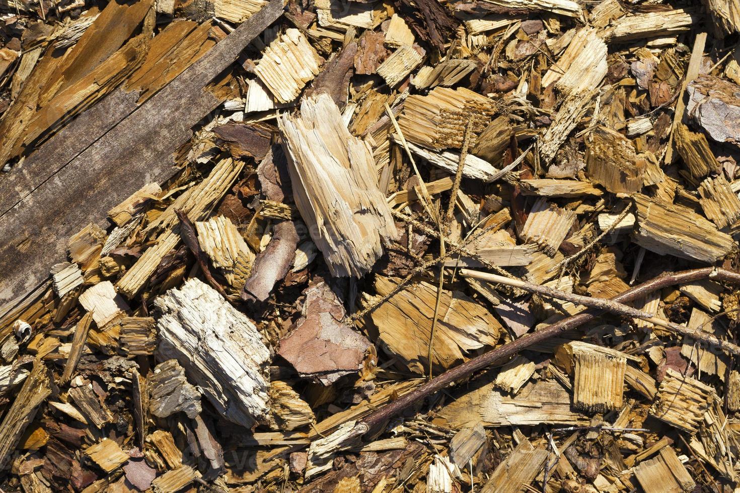 harvesting and storage photo