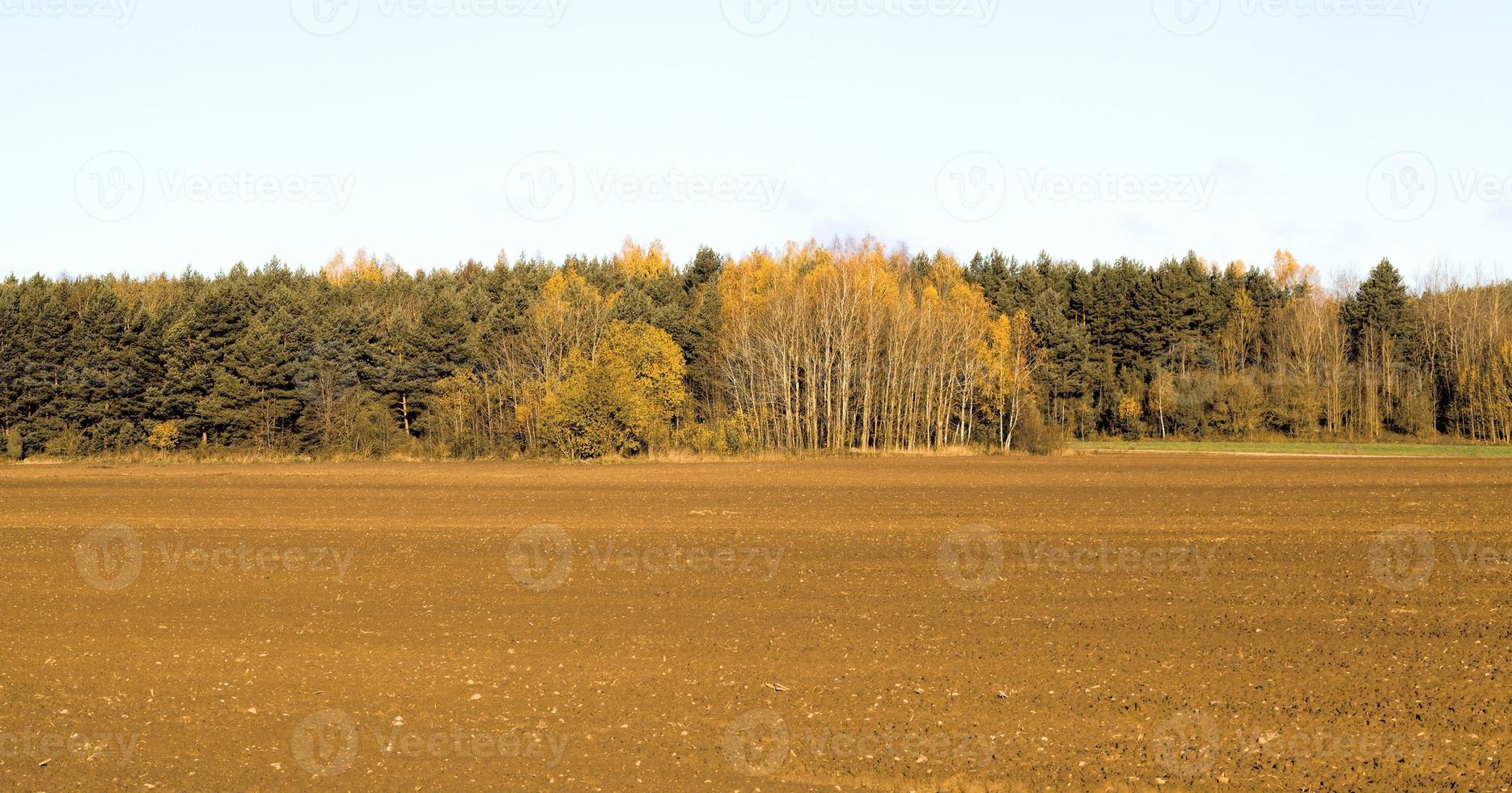 autumn landscape, field photo