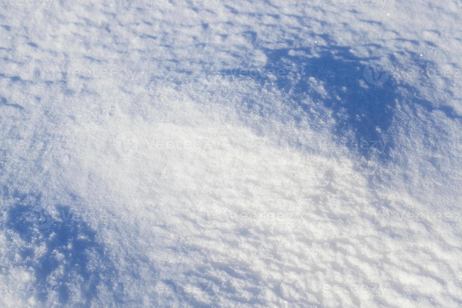 tierra cubierta de nieve foto