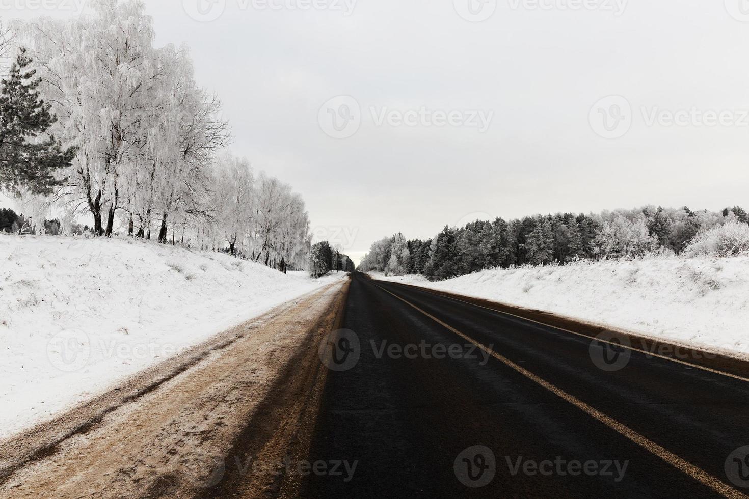 camino cubierto de nieve foto