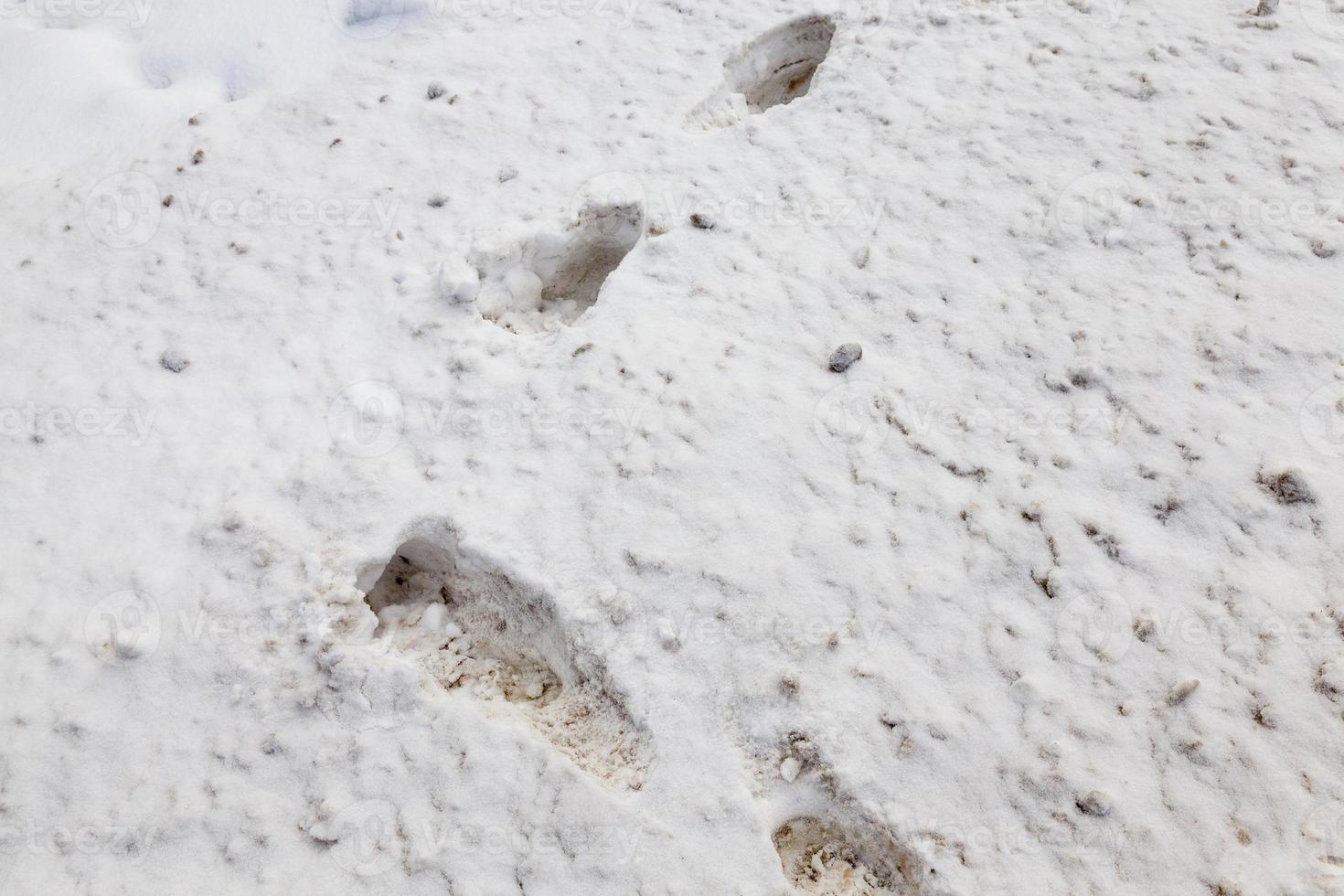 Footprint on snow photo