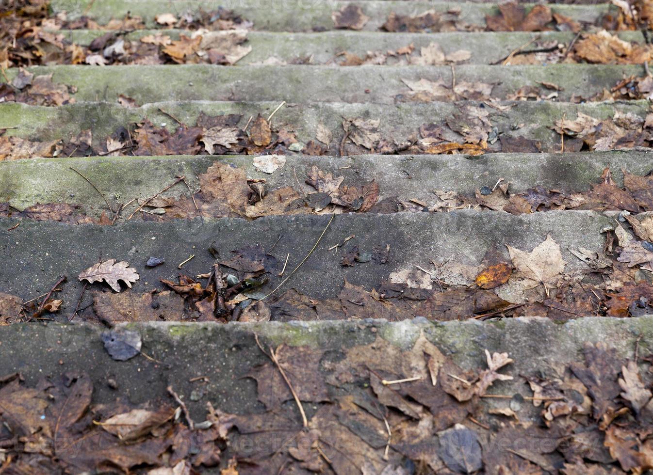 Old concrete steps photo