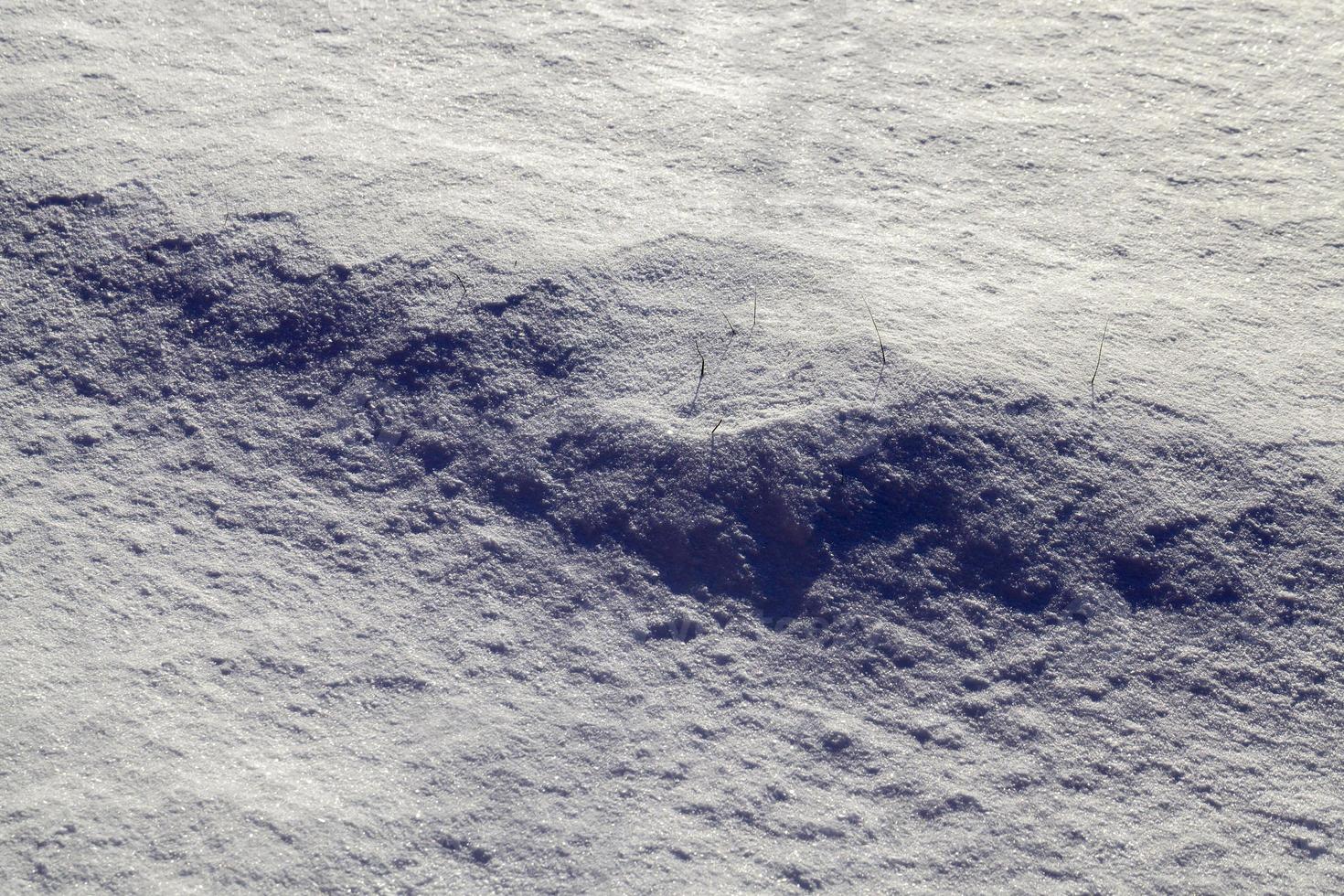 drifts of fresh snow photo