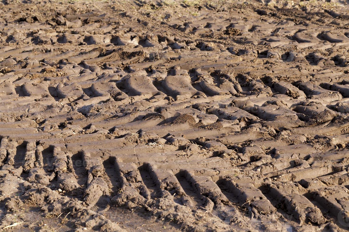 close up of a rural sand road photo