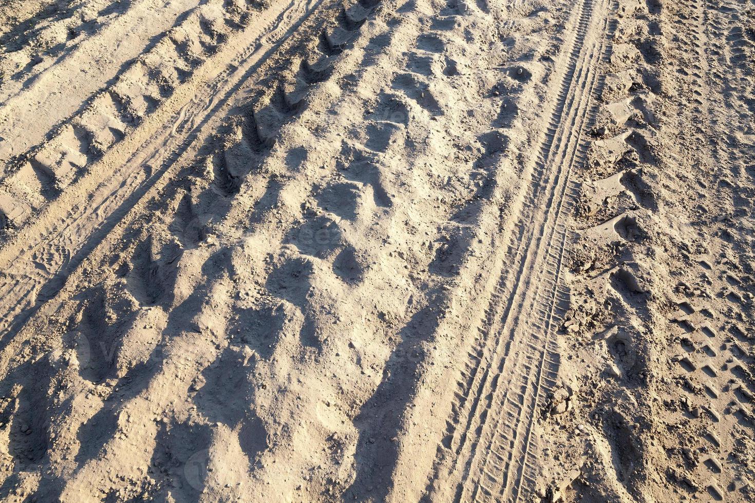 Rural road in the field photo
