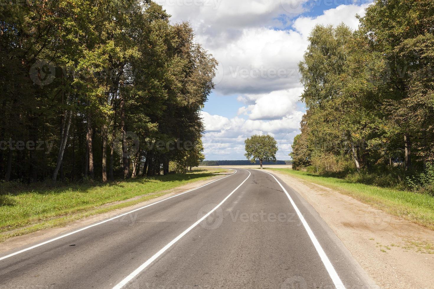 asphalt road . spring photo