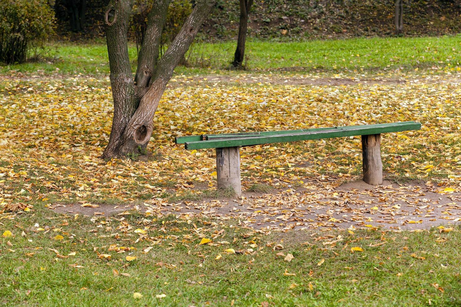 banco de madera en el parque foto