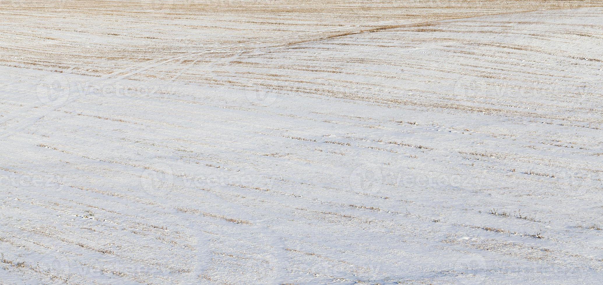 field covered with snow photo