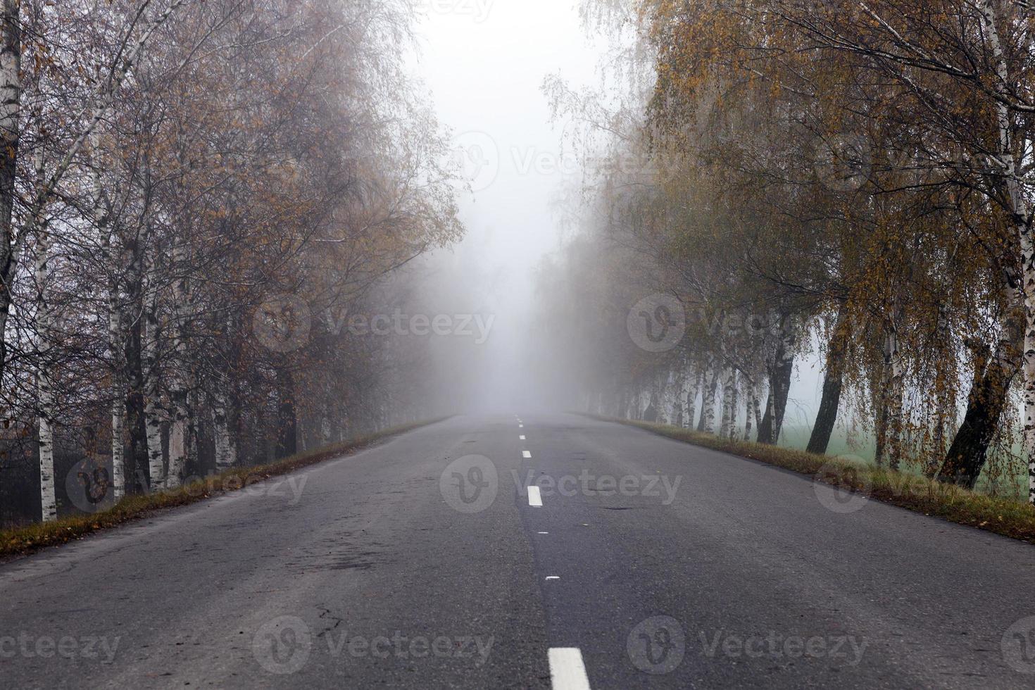 carretera asfaltada, otoño foto