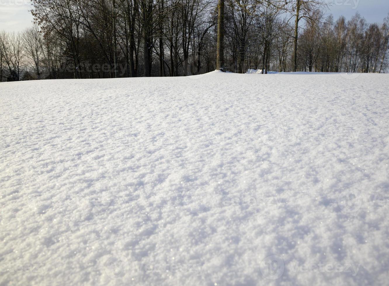 landscape in frosty weather photo