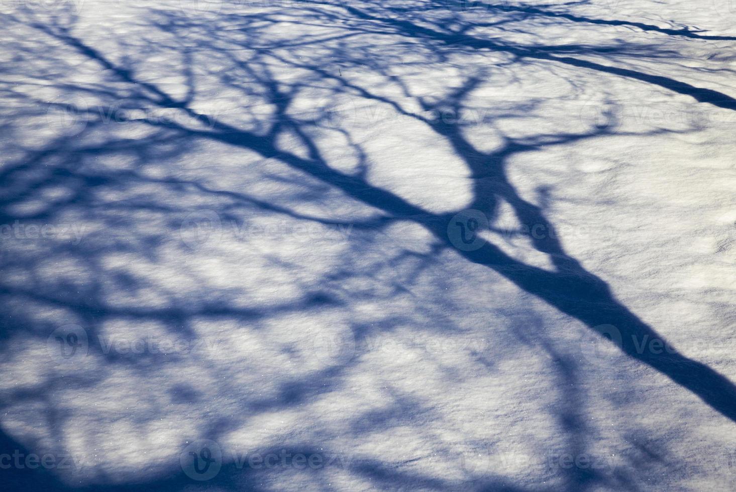 sunlit snow drifts photo