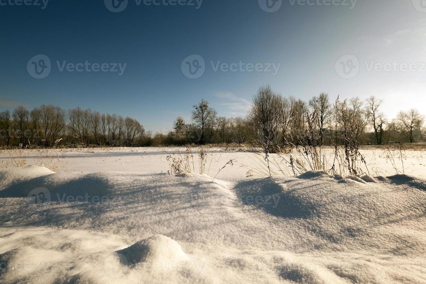 park in winter photo
