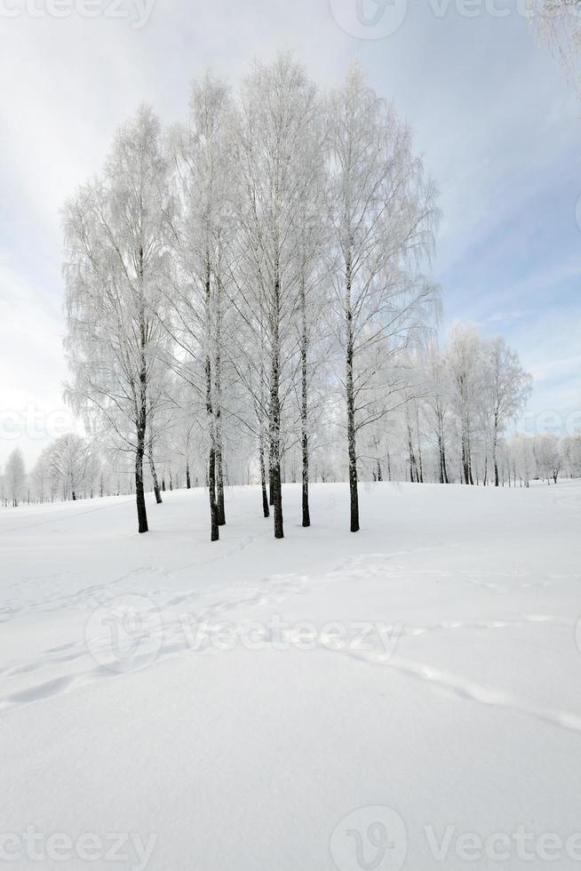 Winter Park. snow. photo